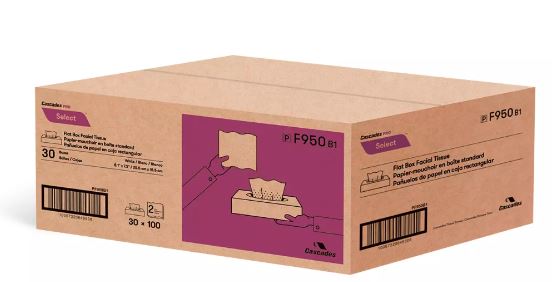 FACIAL TISSUE, 2PLY (30 X 100/SHEET)