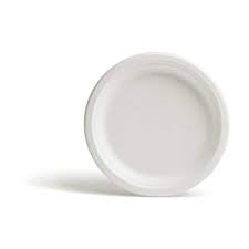9" PAPER PLATE, UNCOATED, WHITE (1200/CS)
