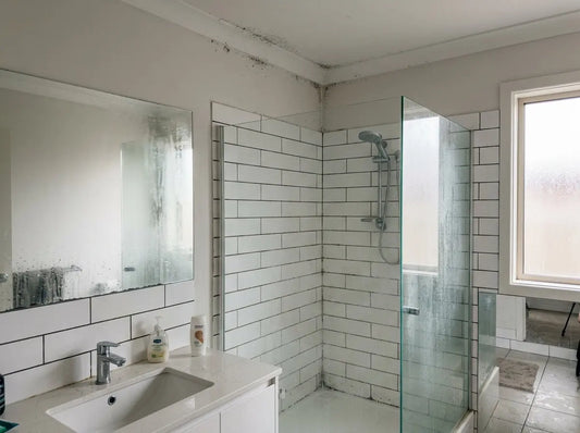 Mold… How To?
