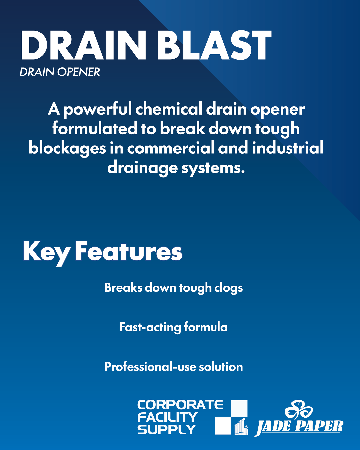 DRAIN BLAST - 1L