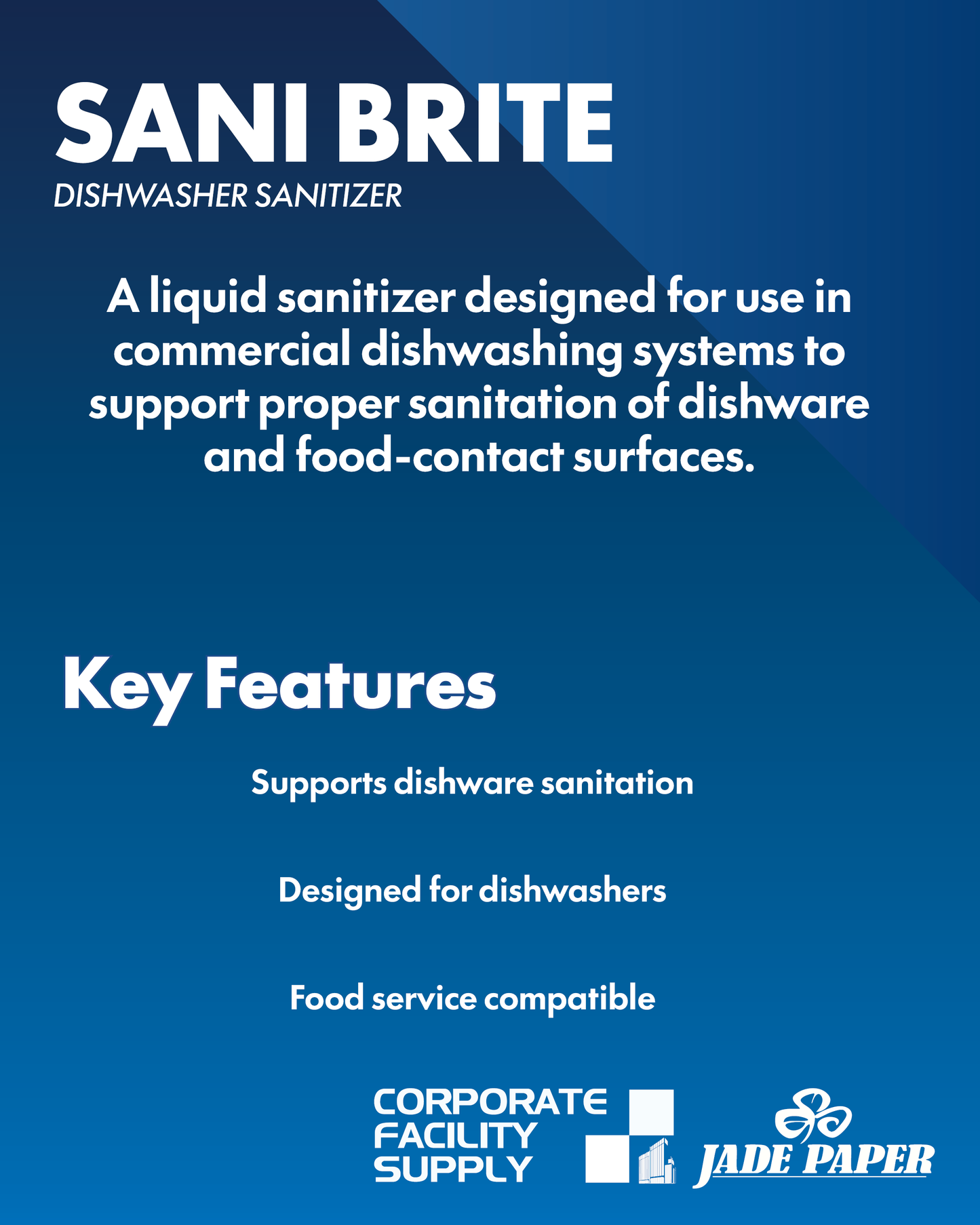 PRECISION SANI-BRITE - 4L